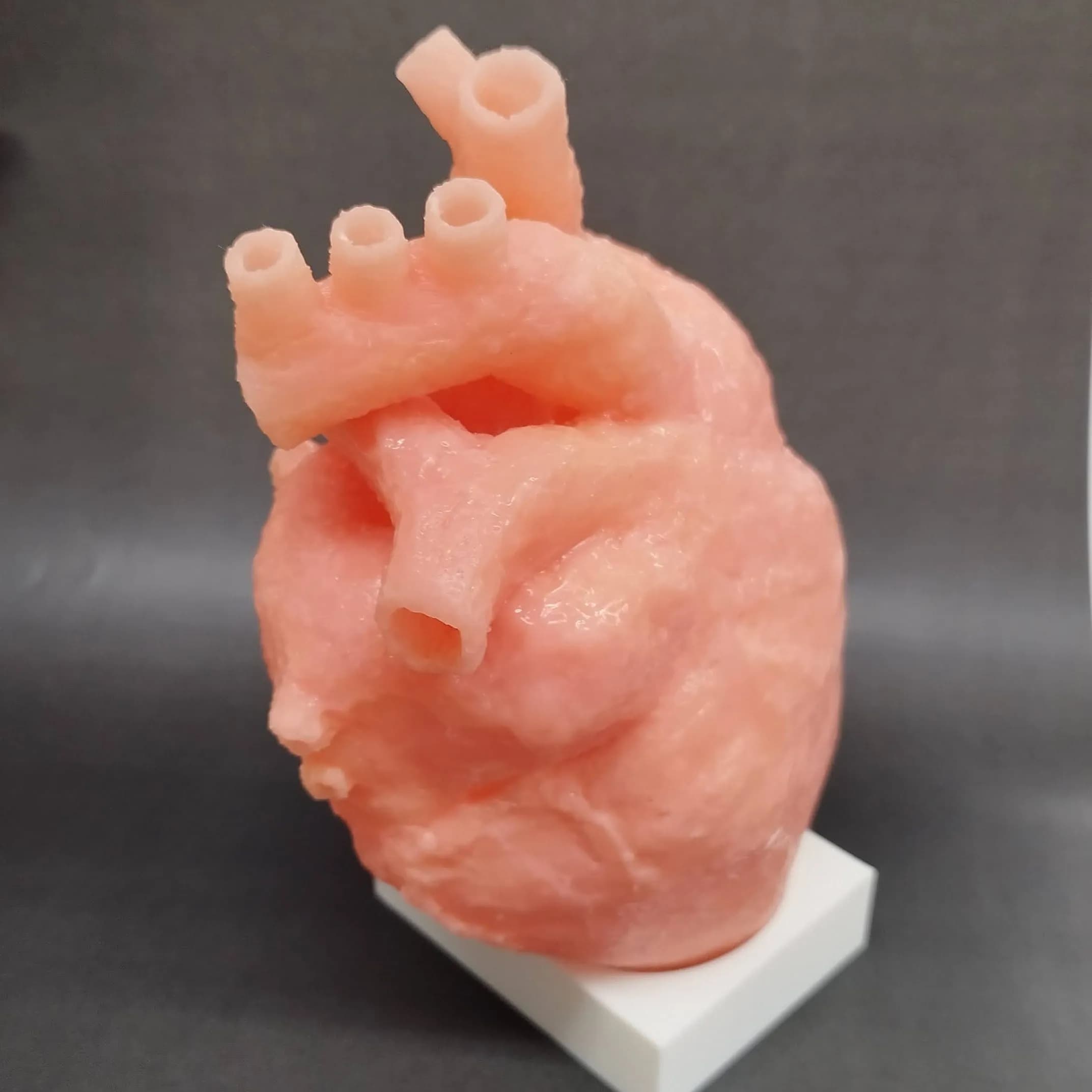 SILICOM(シリコム)スタンダードタイプ SS-01 / デスクトップタイプ SD-01 detail 1